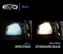 газонаполненные лампы evo "spectras" 75-65w/10000k/hb1 комплект 2+2(t-10) шт