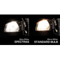 Газонаполненные лампы EVO "Spectras" 75W5000K/H8 комплект 2+2(T-10)